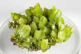 Apple-Green Pyromorphite Crystal Cluster - China #179726-2